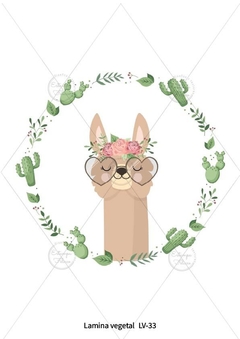 Lámina Vegetal LV-33