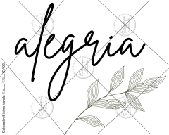 Folex transfer color SV-01 - (copia)