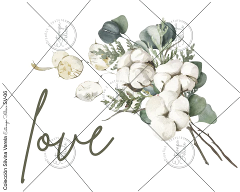 Folex transfer color SV-06