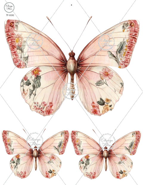 Folex transfer color ® FT-192 - comprar online