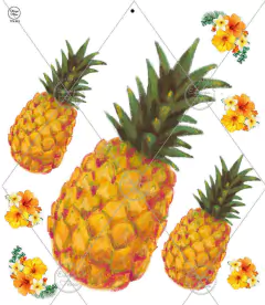 Folex Transfer color FT-1022 ex FTV-901