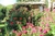Curso: El Jardín de Flores, Cómo cultivar tus Flores desde semillas - INDIVIDUAL - comprar online