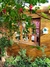 Curso: El Jardín de Flores, Cómo cultivar tus Flores desde semillas - INDIVIDUAL en internet
