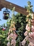 Digitalis Mix (Sutton´s Apricot + Purpurea) - comprar online