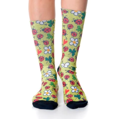 Meia Divertida e Colorida - Joaninha na internet