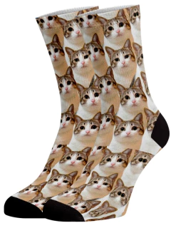 Meia Divertida e Colorida - Gatos Branco na internet