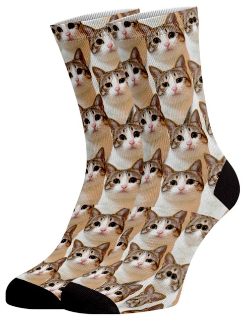 Meia Divertida e Colorida - Gatos Branco na internet