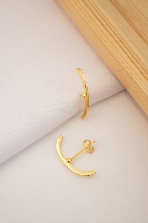 Brinco Earhook Fino Liso