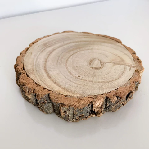 Bolacha em madeira redonda tronco de árvore