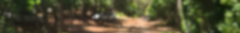 Banner de la categoría Toppings