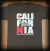 CAMISETA CALIFORNIA (M AO GG) - loja online