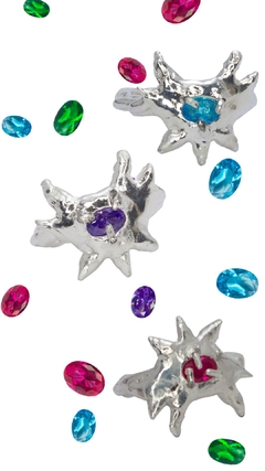 ANILLO HORNS/