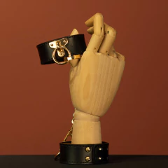 Kit BDSM na maleta - Não sou Pavê