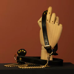 Coleira de lacinho com guia - Não sou Pavê