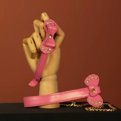 Coleira de lacinho com guia