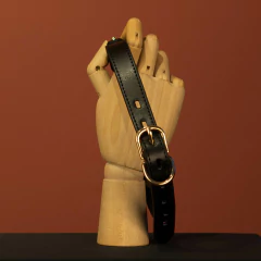 Imagem do Kit BDSM na maleta