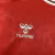 Imagem do Camisa Dinamarca Home 2024 Masculina