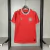 Camisa Dinamarca Home 2024 Masculina