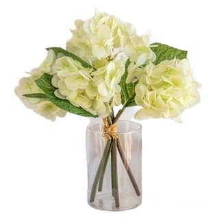 RAMO HORTENSIA