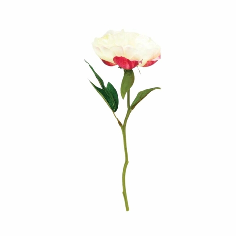 VARA PEONIA WHITE