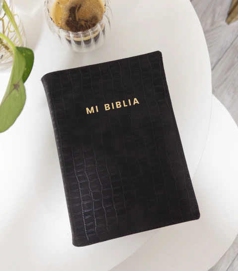 Funda para Biblia