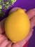 ESPONJAS FRUTINHAS. - loja online