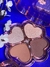 Paleta de sombras flor. Lua&neve - loja online