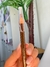 Lápis dermatográfico Marrom