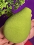 ESPONJAS FRUTINHAS. na internet