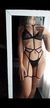 Arnes cuerpo completo - Blue Coast