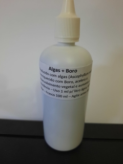 Alga + Boro