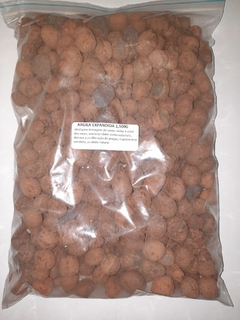 Argila Expandida