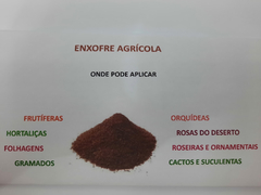 Enxofre Agrícola 150g na internet