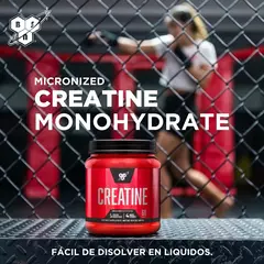 Creatine Monohydrate 309gr Original Importada EEUU - Bsn - OFF SUPLEMENTOS MICROCENTRO