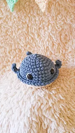 Mini Ballena en internet