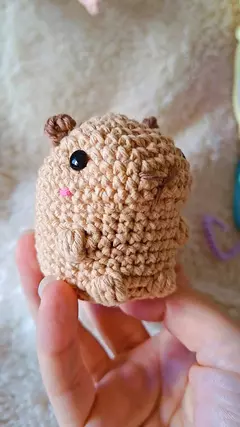Mini Capibara