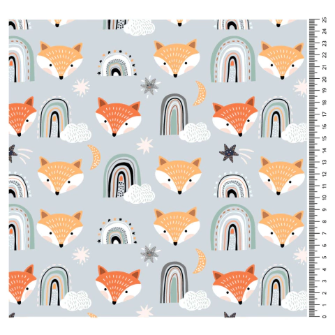 Raposas com arco íris