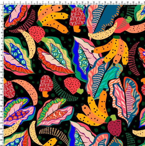 Meu Brasil, Brasileiro