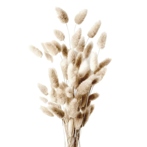 Ramo De Colitas de Vison (Natural)