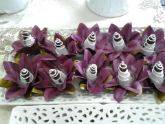 Pacote 3 ANOS - TODOS os 13 Cursos