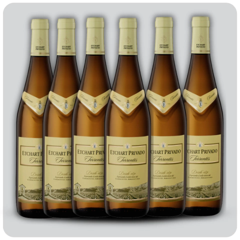 Etchart Privado Torrontes - Caja sellada - 6 x 750 cc