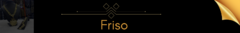 Banner da categoria Friso S