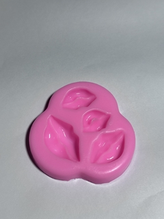 Molde labios