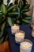Workshop Online en Vivo de Velas en Contenedor & Perfumeria - comprar online