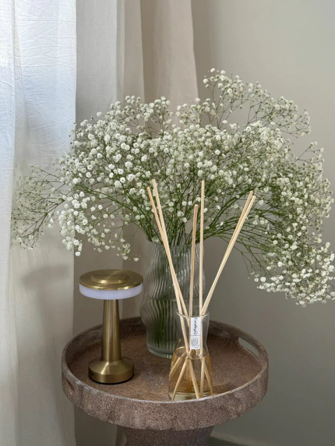 Varillas de Rattán - comprar online