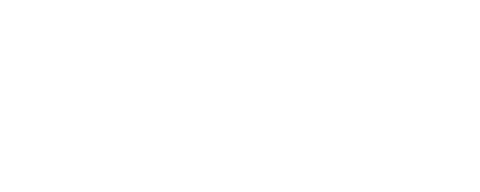 Level Micro