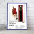 Cuadro Music Collection | Bruno Mars en internet