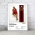 Cuadro Music Collection | Bruno Mars en internet