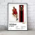 Cuadro Music Collection | Bruno Mars - tienda online