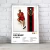 Cuadro Music Collection | Bruno Mars